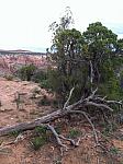 2013-09-21 Grand Junction- Fruita trip 013