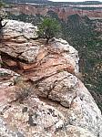 2013-09-21 Grand Junction- Fruita trip 018