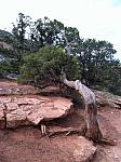 2013-09-21 Grand Junction- Fruita trip 054